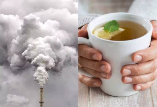 تغذیه وآلودگی هوا