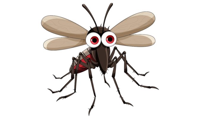 محافظت از خود در برابر پشه ها